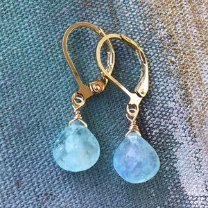 Natural Aquamarine Gold Filled Sundance Charm Earrings